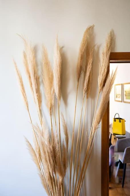 Apartamento Ariosto Charme Florencia